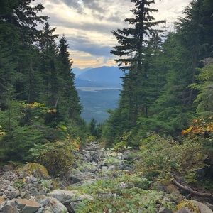 Meet your Posher, Mackenzie